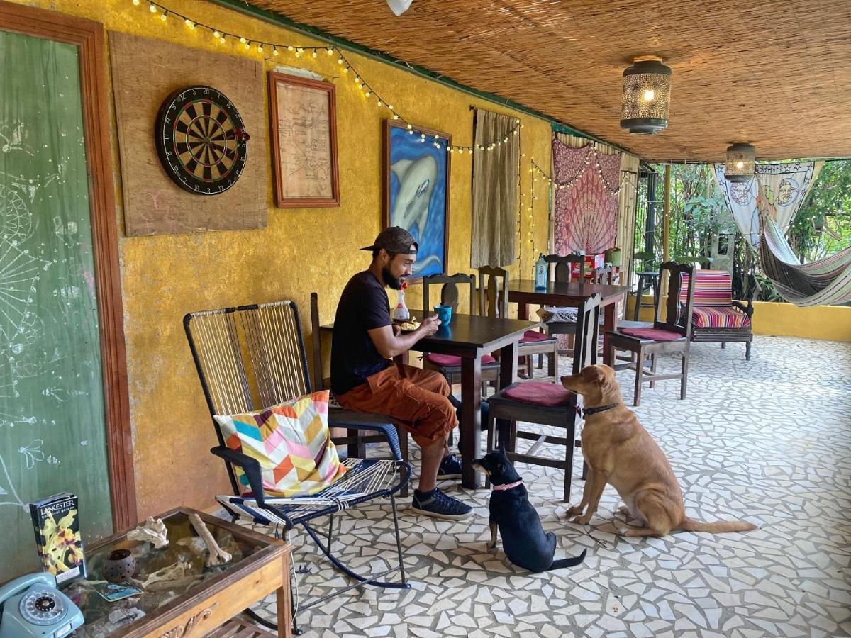 Montana Linda Hostel Ороси Экстерьер фото